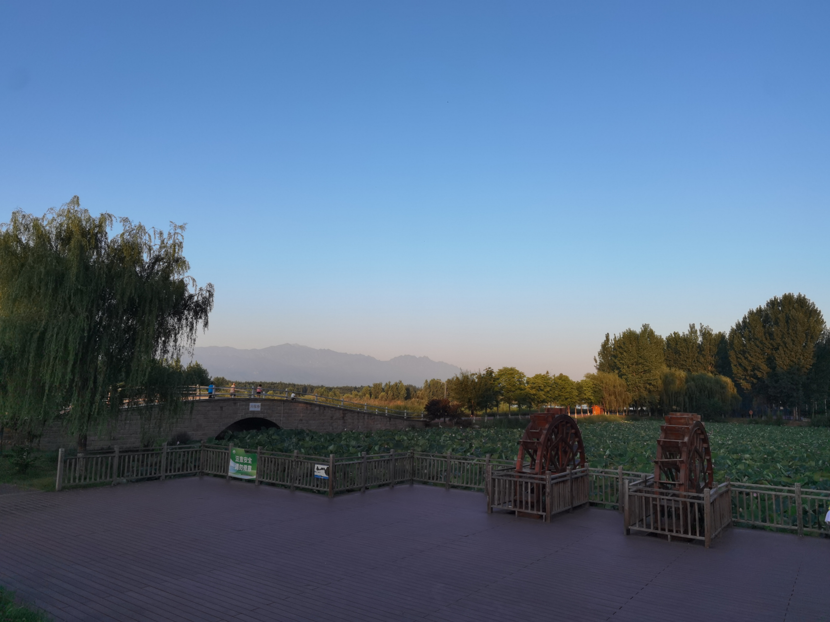 杨凌渭河湿地公园 休闲健身好地方