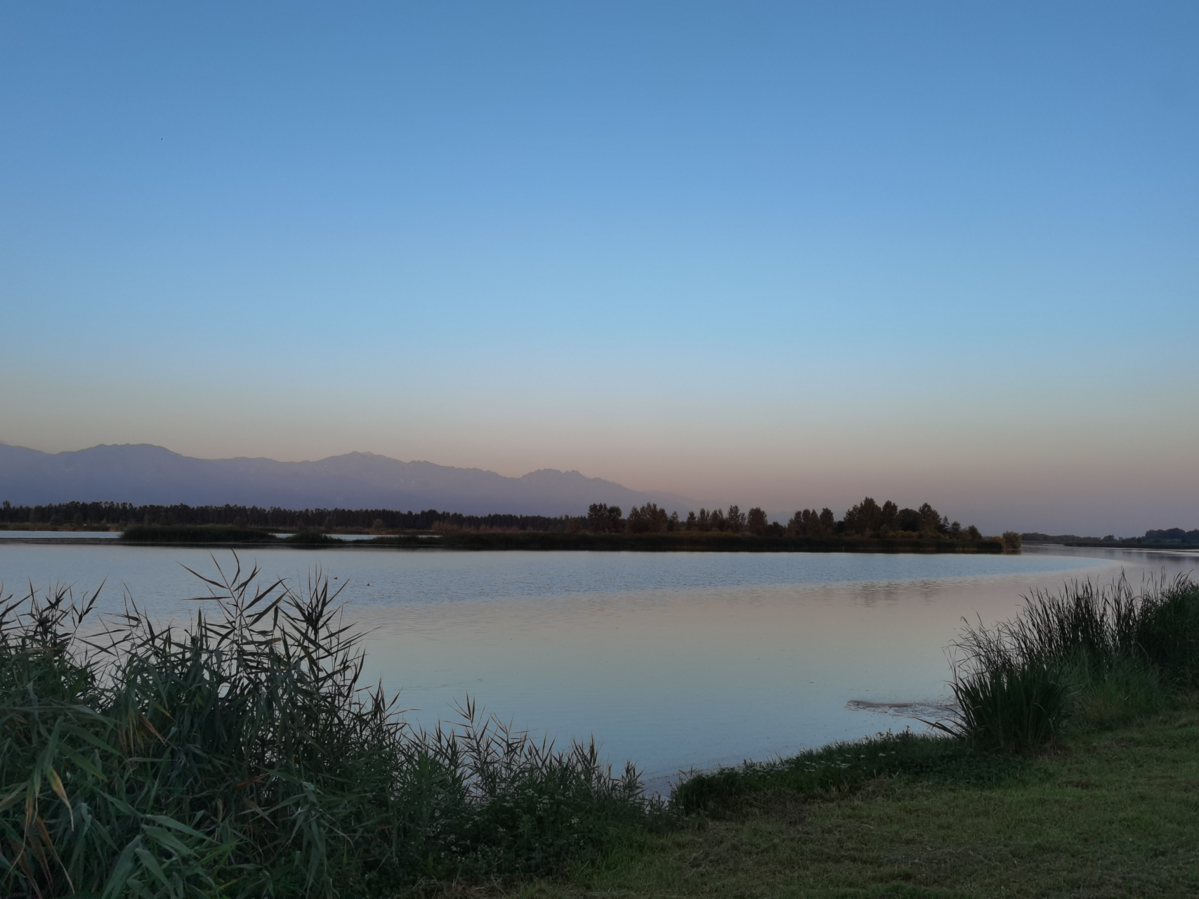 杨凌渭河湿地公园 休闲健身好地方