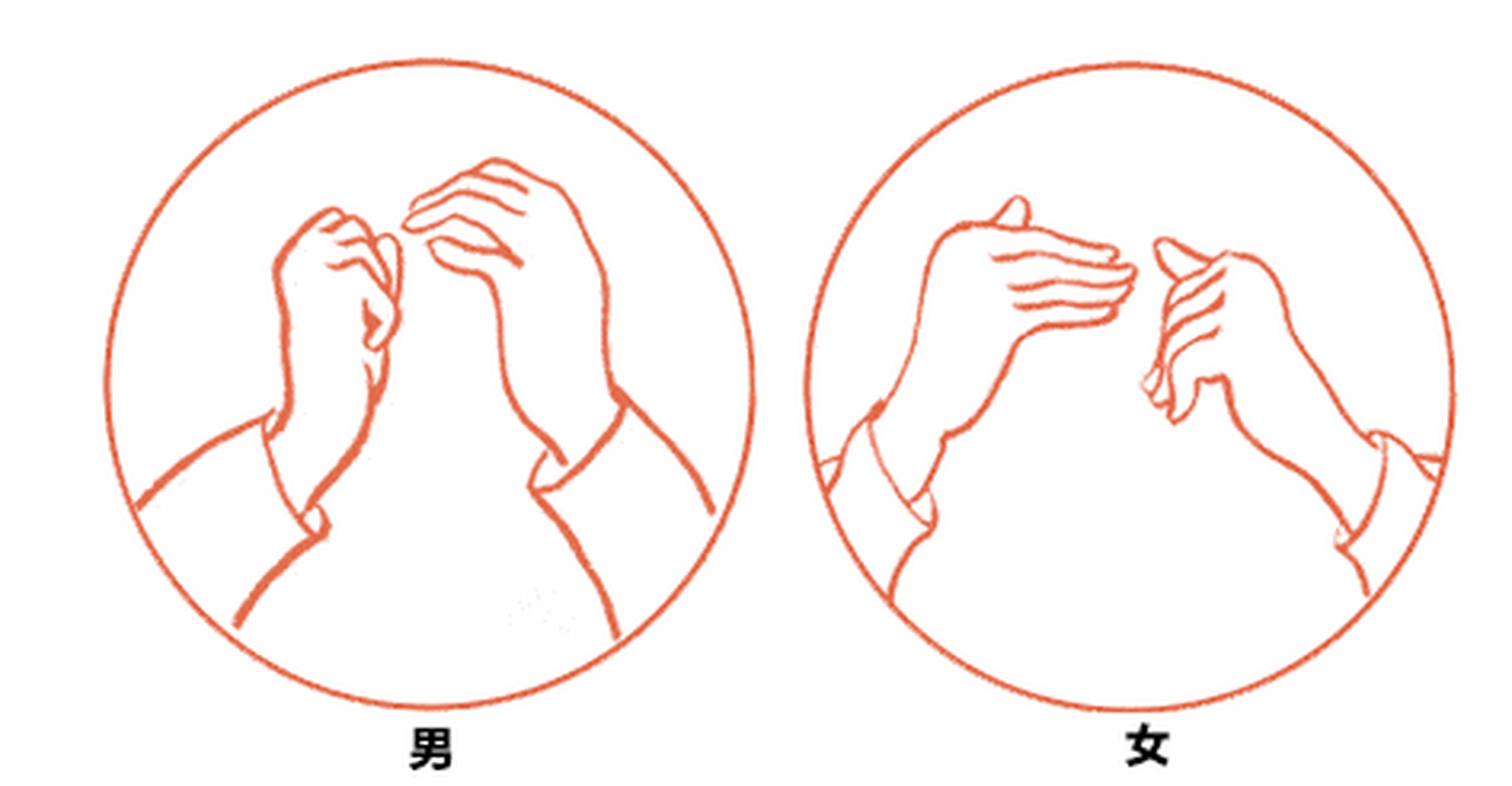 男左女右,拱手抱拳[比心]