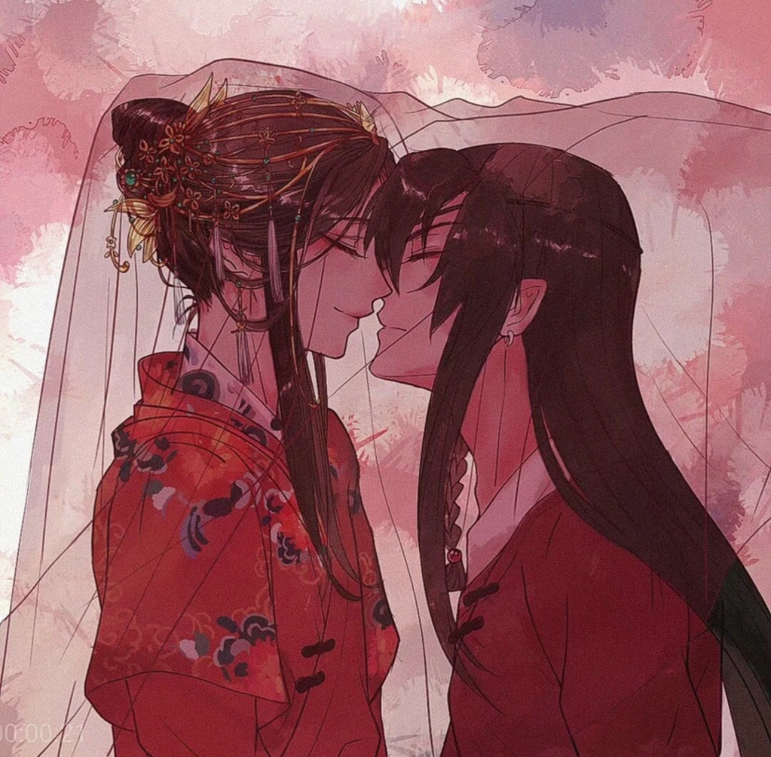 花怜的情头哟～最后一张是上一期喜服的完图