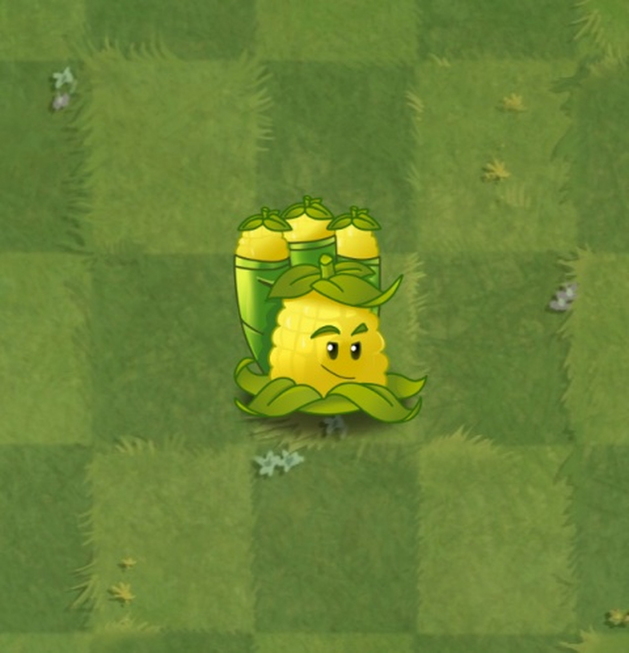 玉米迫击炮【自认为画的最好看的一幅】 耗325阳光 功能:向前方三个