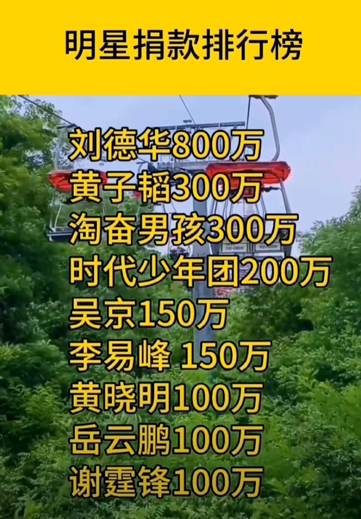 捐款100万的还有关晓彤,张雨绮,刘涛,谢娜,贾玲,佟丽娅,谢霆锋,高晓松