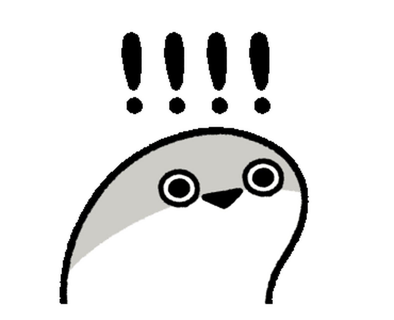 我不知道叫什么鱼,大家可以告诉我吗?知道的发在评论区哟