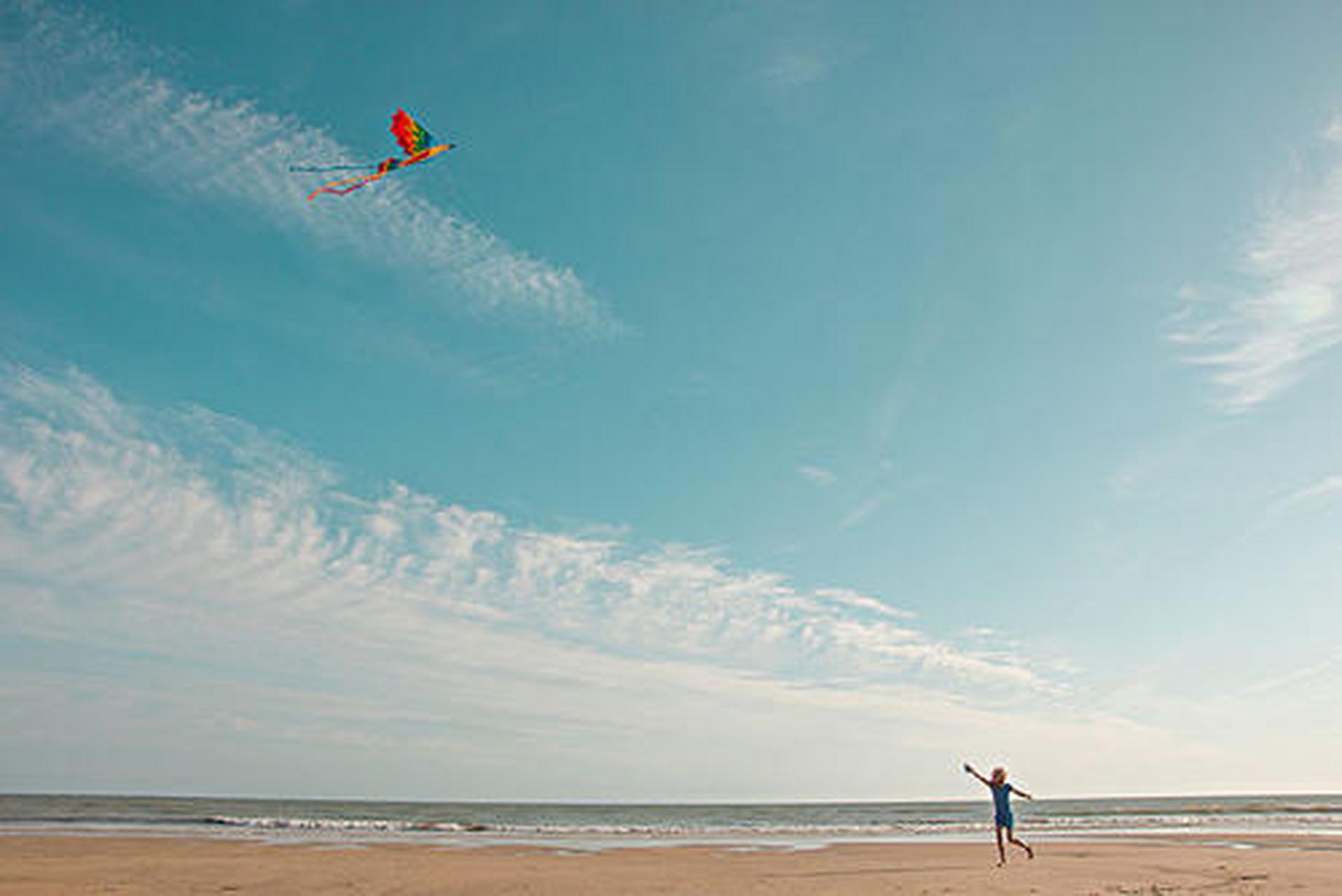 放风筝的作文怎么写的(中小学优秀作文赏析放风筝作文)-新文库网