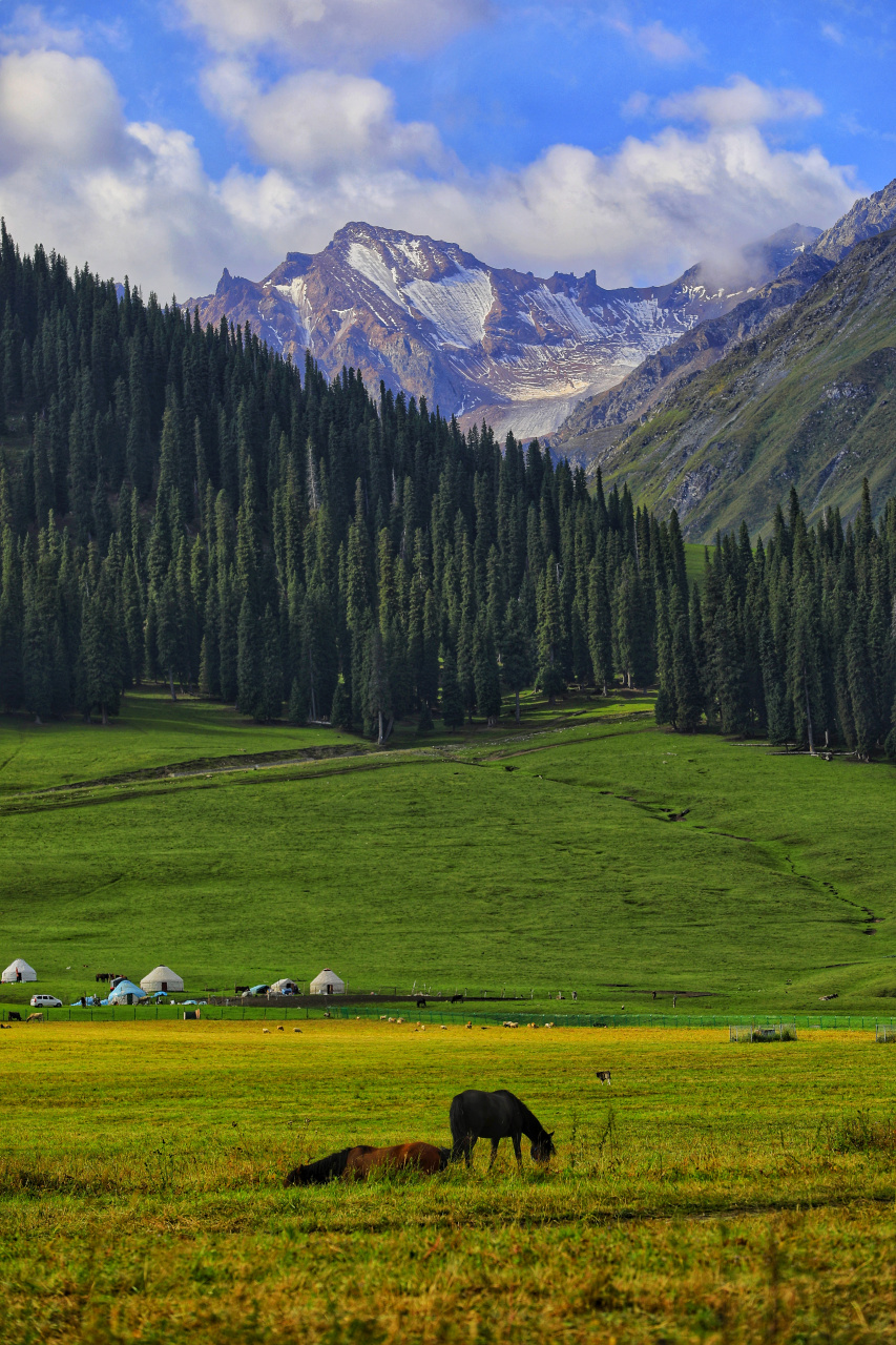 853_1280竖版 竖屏