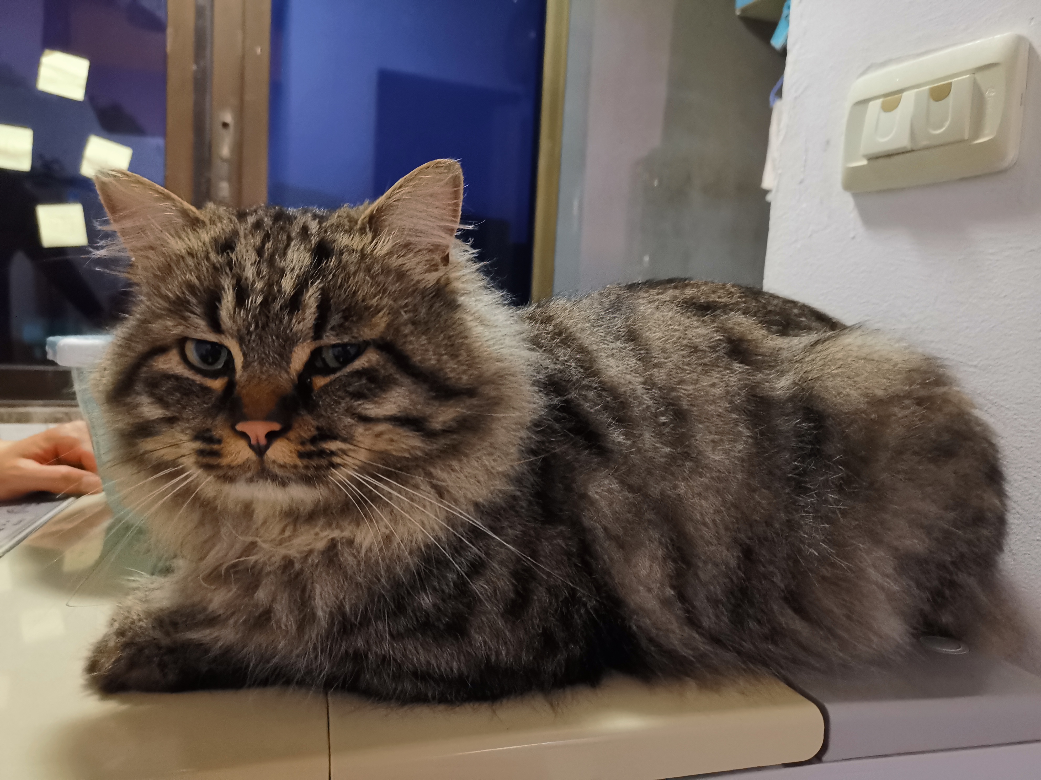 茅厕里又可以回忆着曾经耗起了时间,脚踏两岸纹丝不