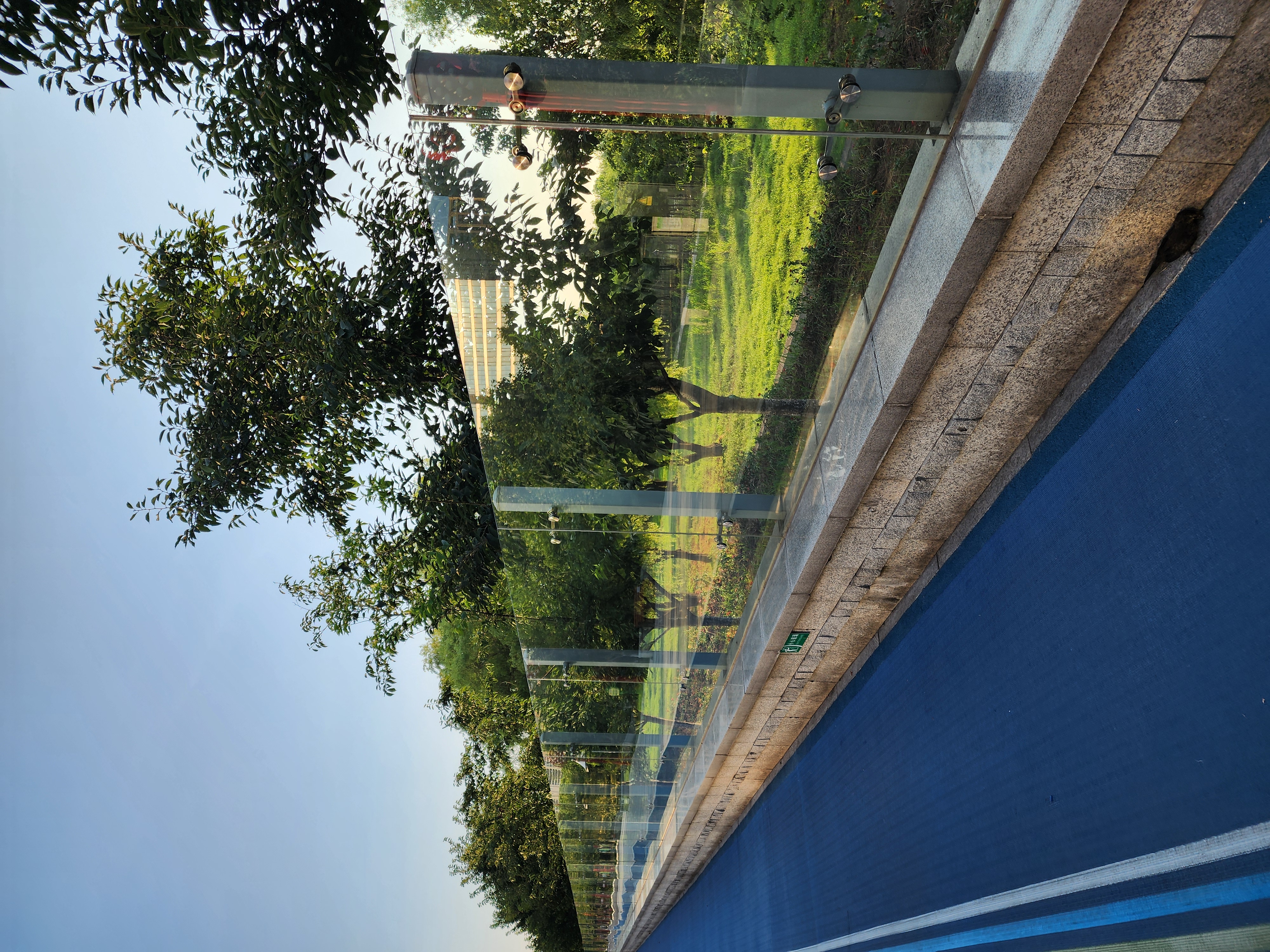 户外尽量不要安装这种玻璃护栏,很多鸟类因撞到上面而身亡,今天又发现