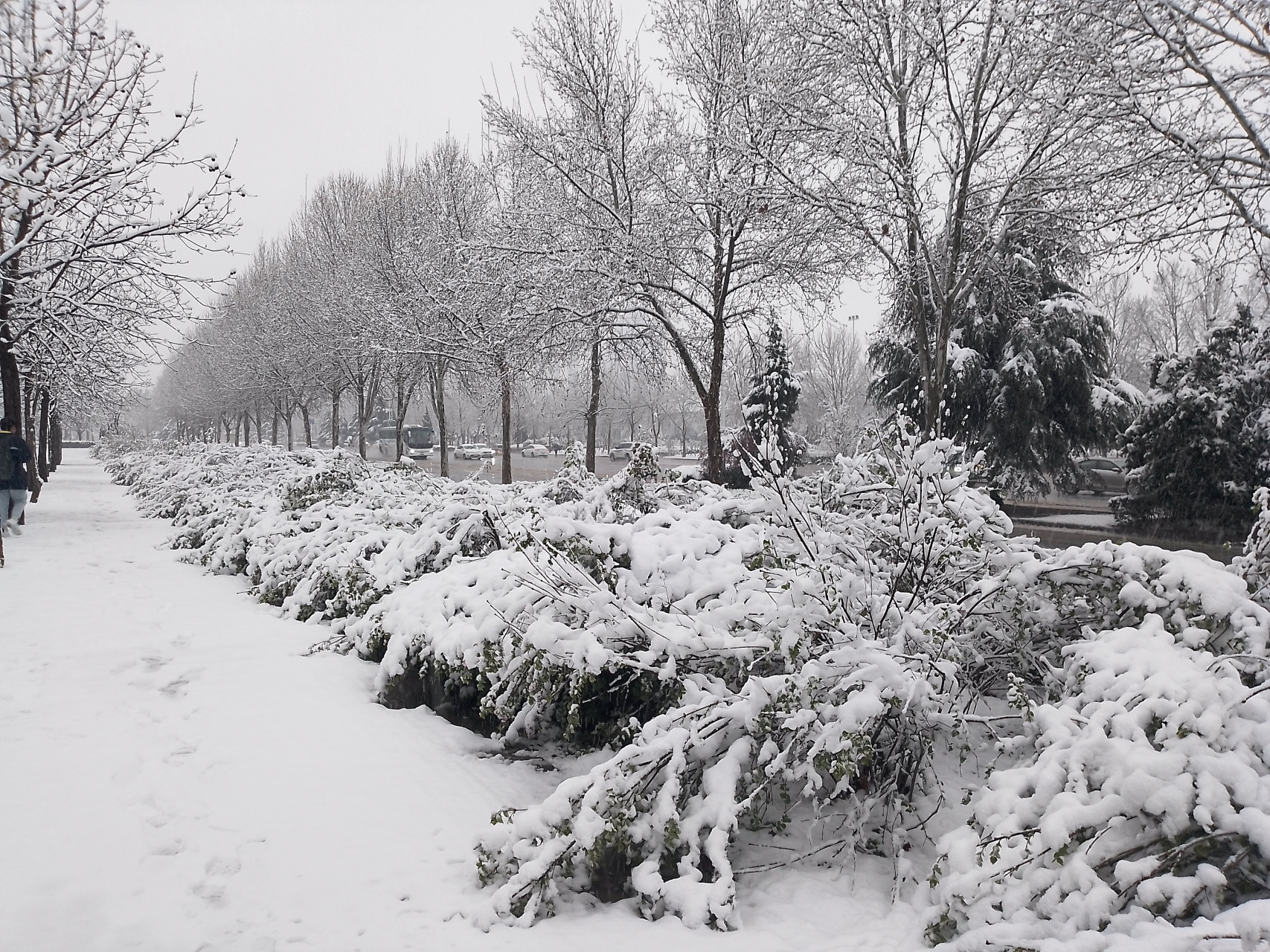 郑州,又下雪了!