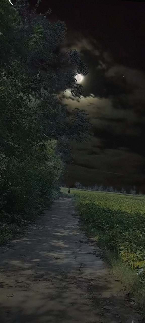 80后的童年经常可以看见这种夜晚,长大后就没见过了[撒欢]