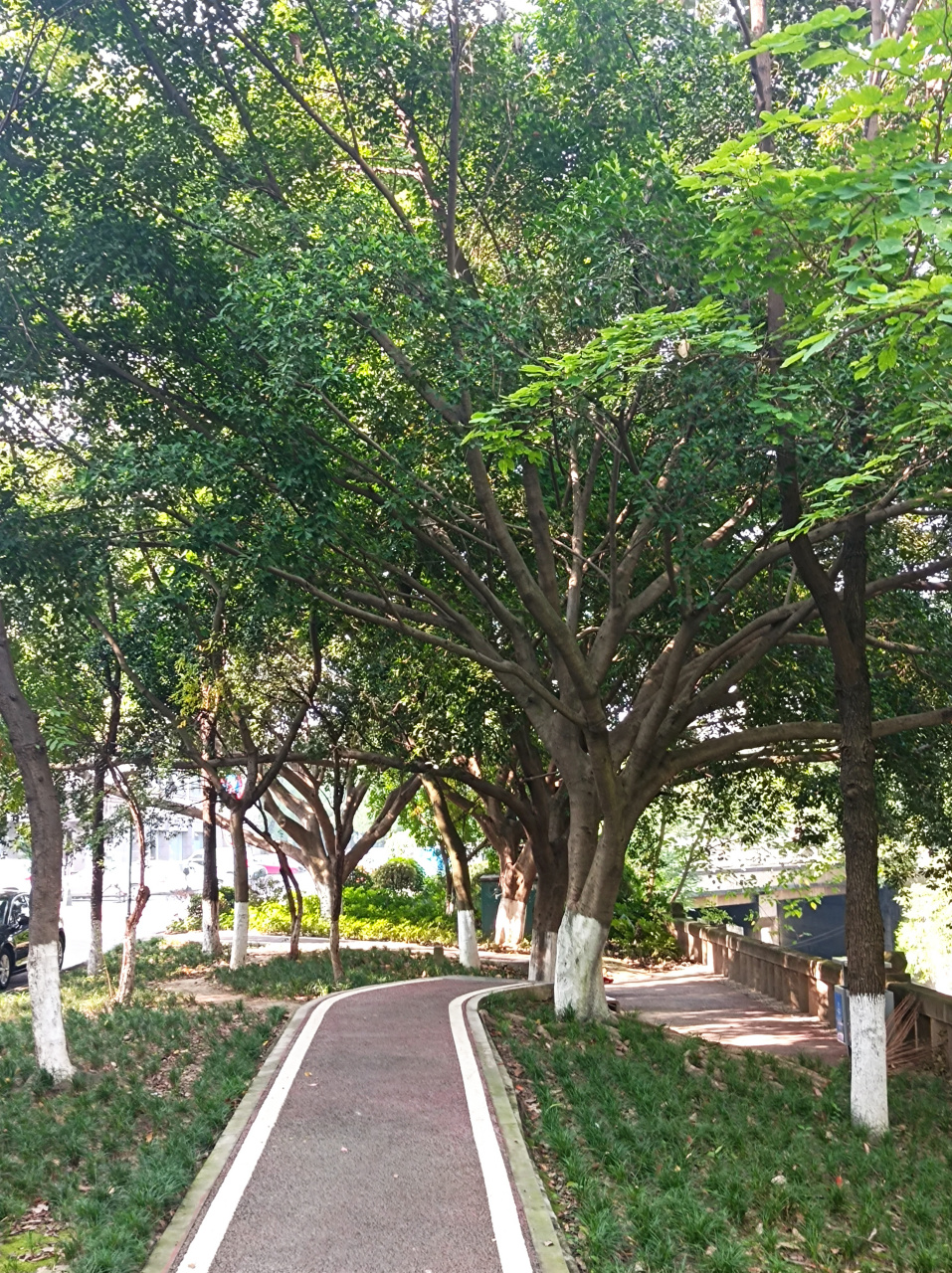 成都北门新都区的南门河天府绿道建设得真好,是市民健身,休闲,散步