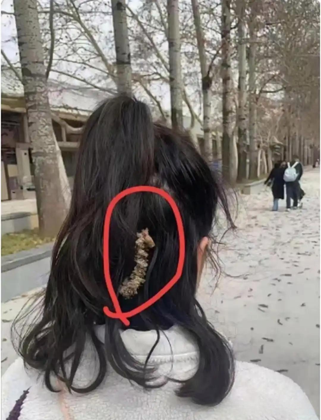 昨天在街上溜达老远就看见一个姑娘头顶上粘了个