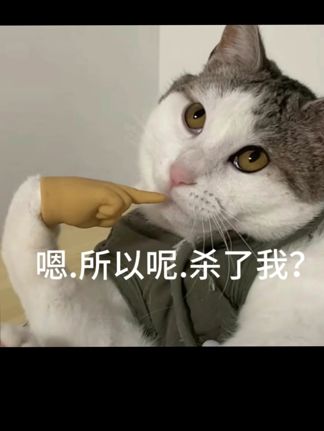 今天刷视频的时候看到评论区简直笑到我了,欢迎大家拿去做表情包.