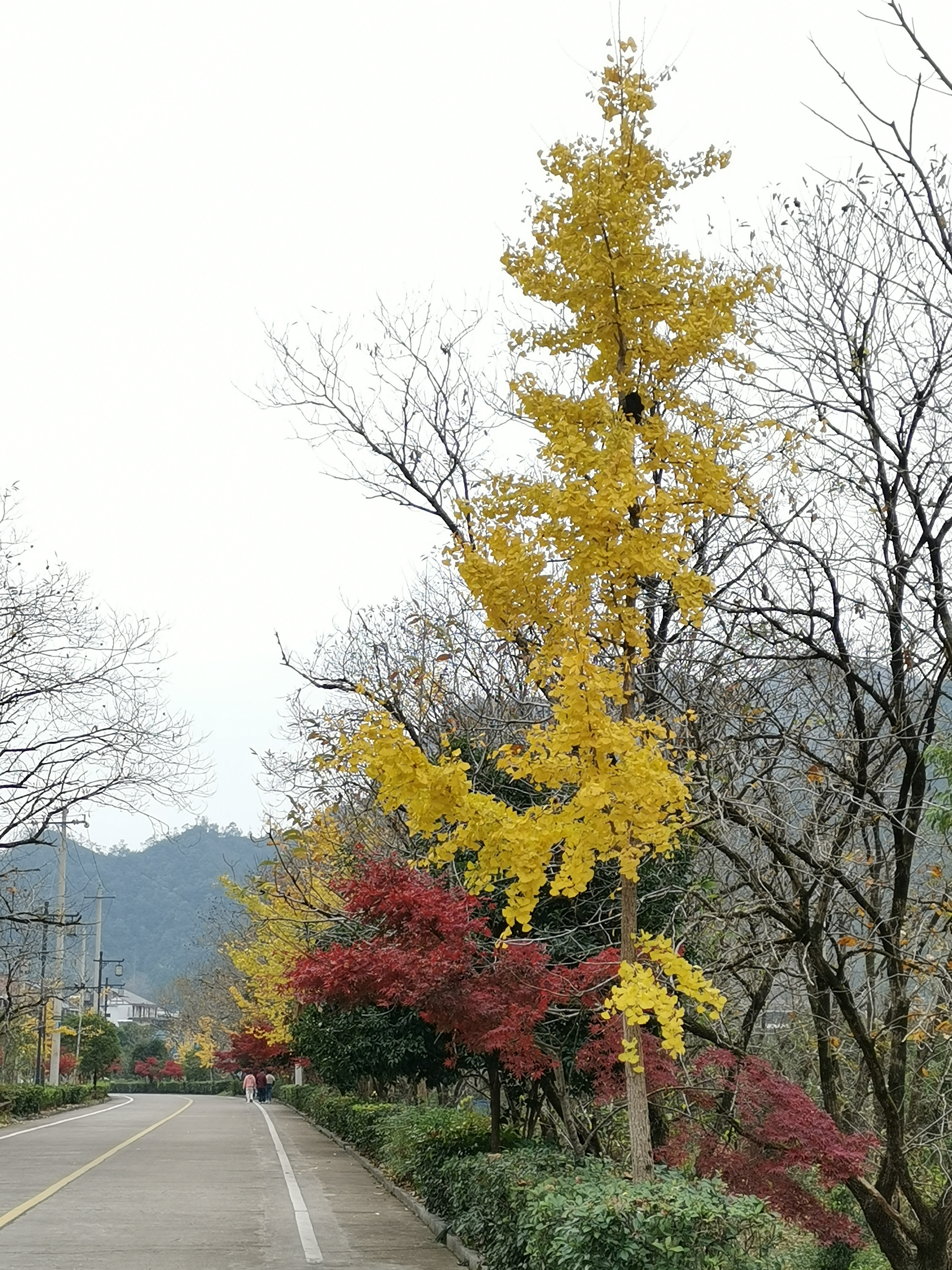 浙江省永嘉县石门台景区