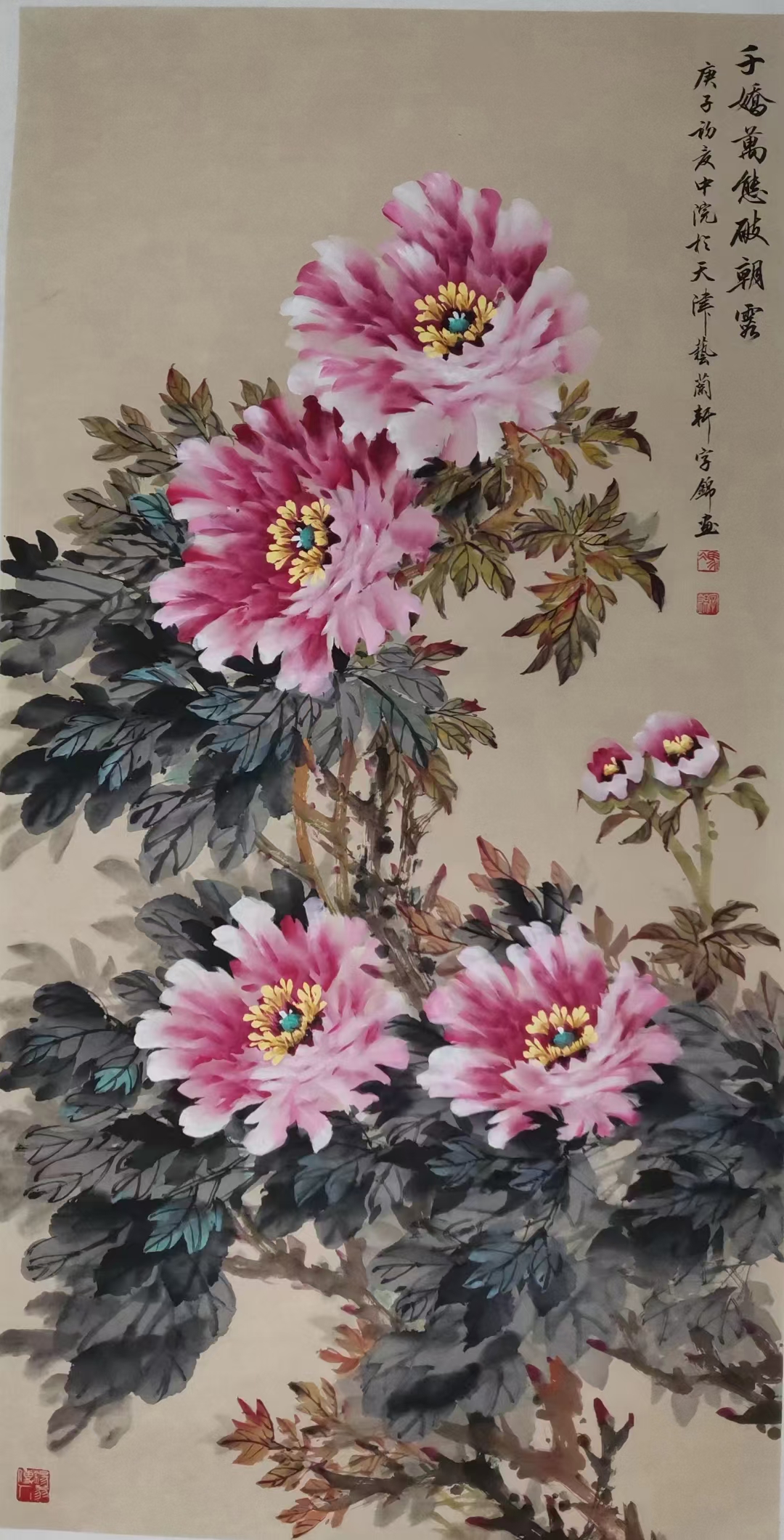 天津美协会员,注明画家,牡丹张,张锡武老师儿媳,冯字锦老师作品