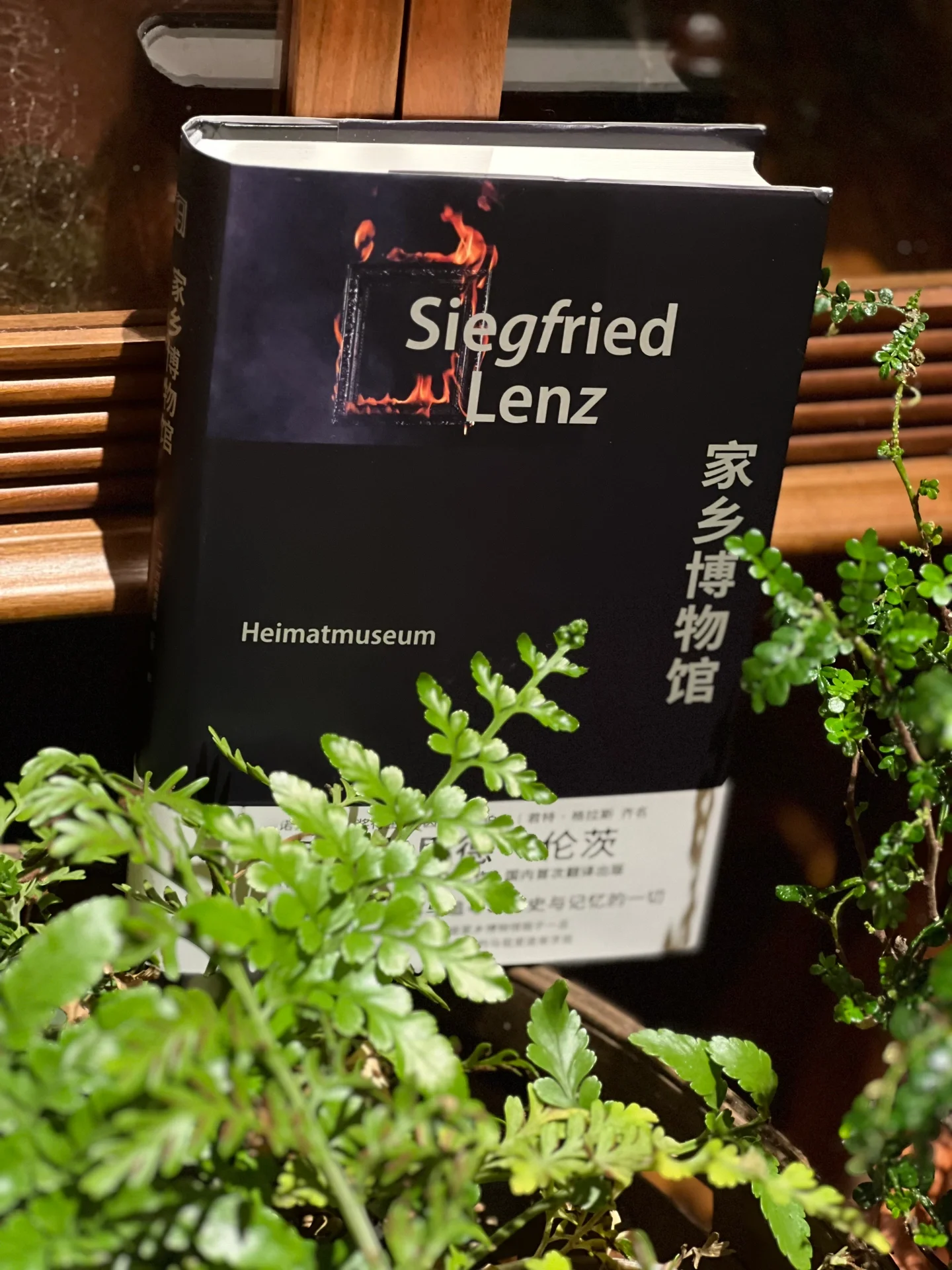 96西格弗里德·伦茨 享誉世界的德国文学巨匠,国宝级作家.