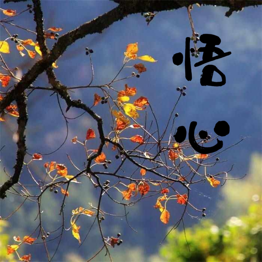 真正的强者是夜深人静的时候把心掏出来,自己缝缝补补,睡前原谅一切