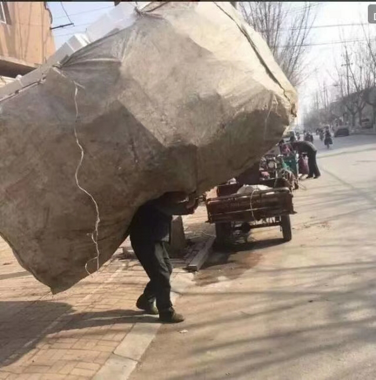 谁都在负重前行,你从来都不是一个人