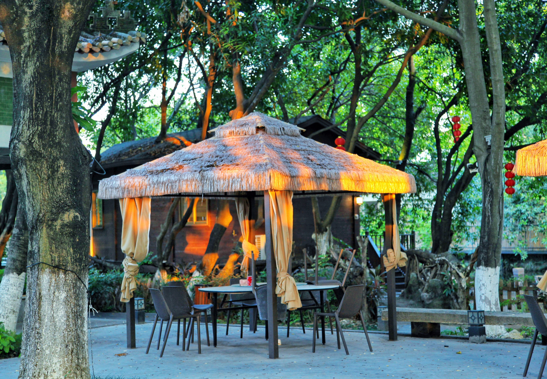 这里有个很好听的名字,叫碧榕庄,一个公园里的民宿,住在这里,你便成了