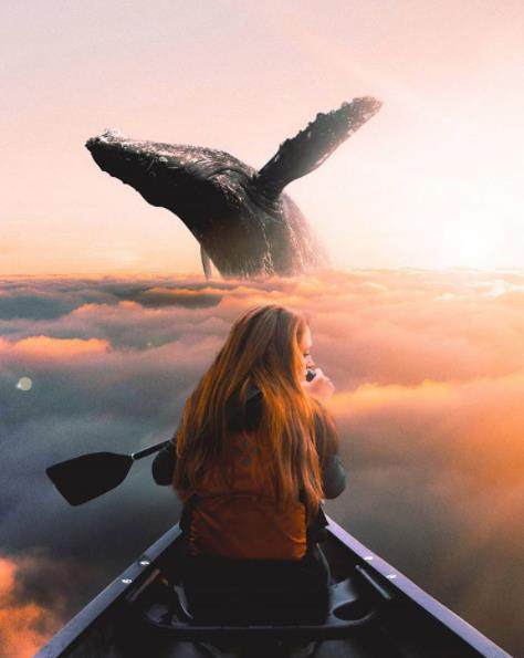 日落下的奇幻邂逅,遇见云端的鲸鱼女孩  想象一下,在日落与云海交织的