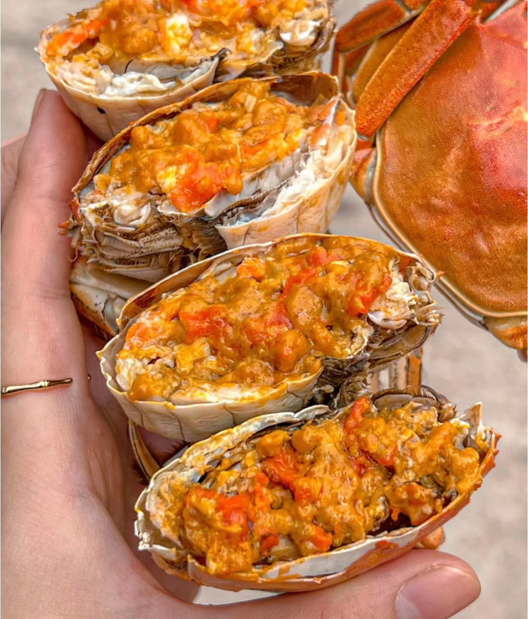 【中秋大促销】新鲜特大固城湖大闸蟹预售上市挑品质满黄纯母蟹10只高