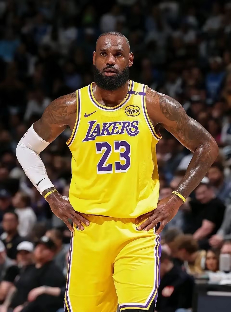 关于湖人客场不敌掘金，詹姆斯单场分空砍的信息