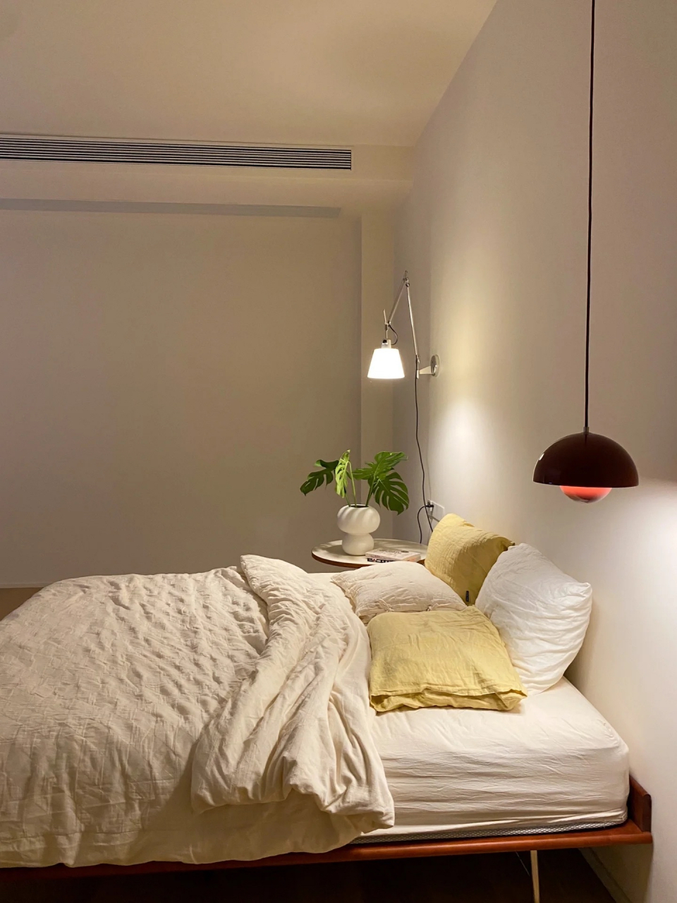 龟背竹还挺耐活,出门一周回来还长出来一片.