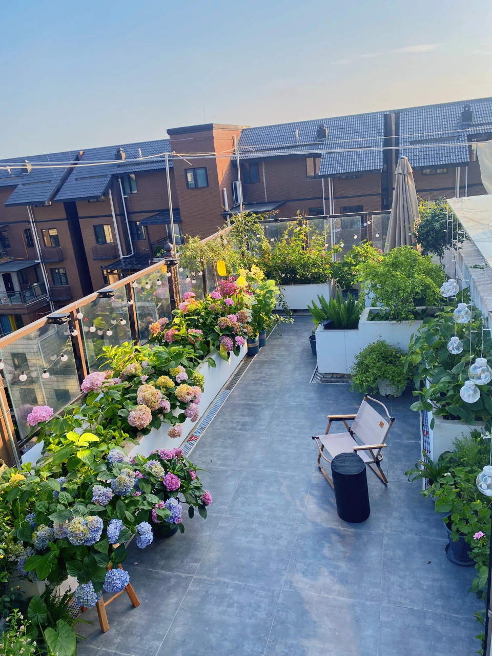 顶楼复式,一家三口的露台花园一角  房子是6楼顶楼,最高处有6.