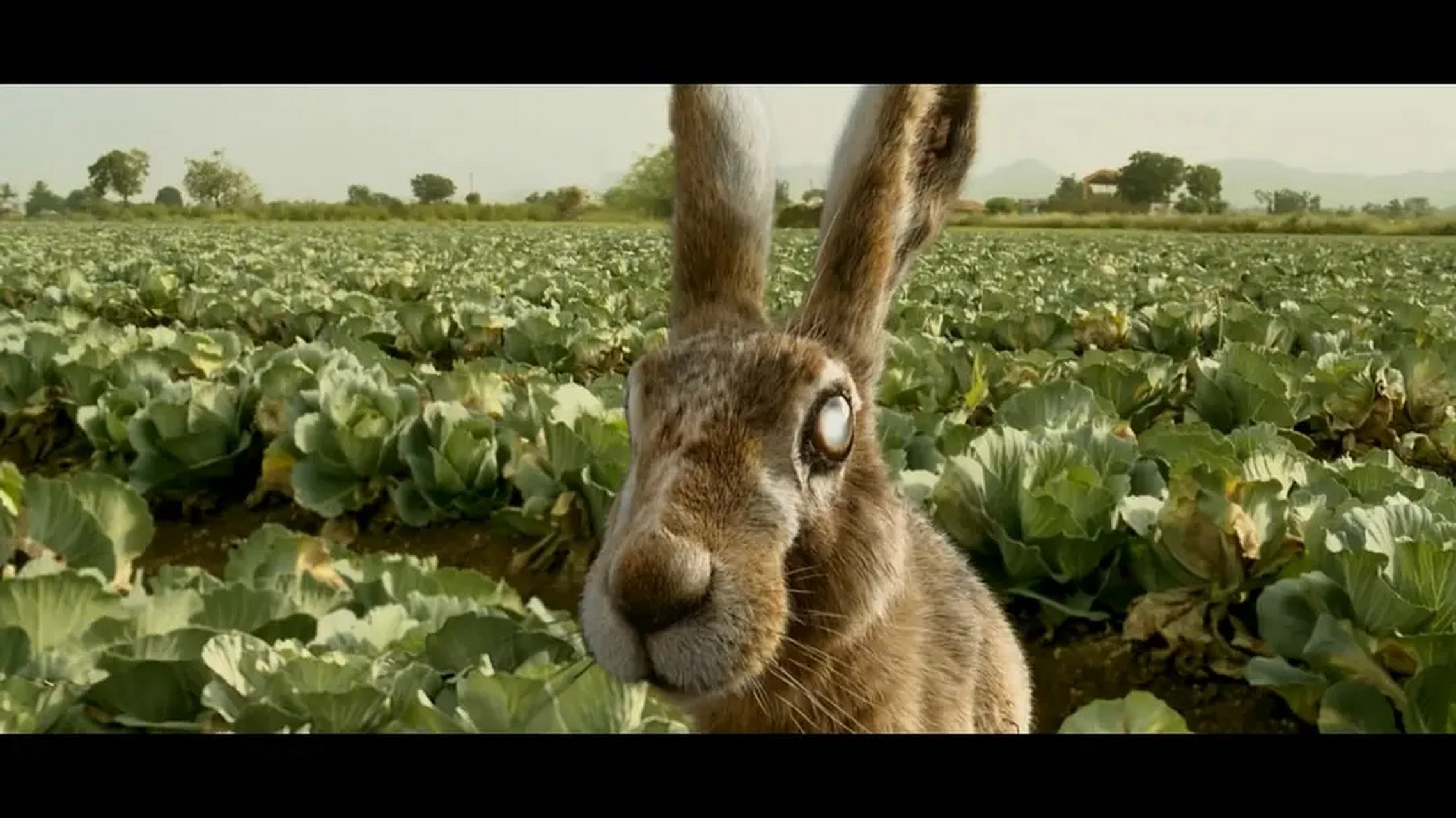 不作不死的典型 #电影解说# 不得不说泰国电影真心不错,一直没让人