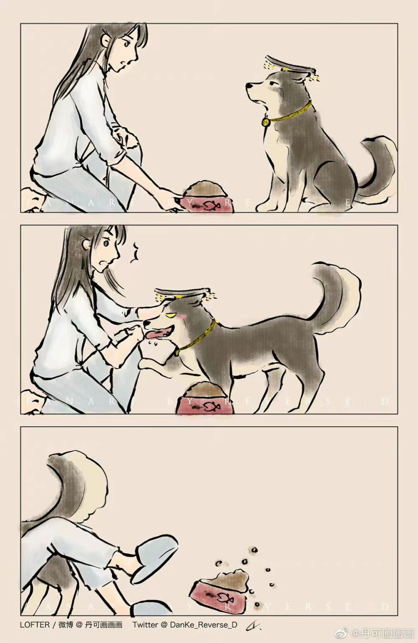 0还是一如既往的欠揍,0.5表示我不要吃狗粮我要吃喂狗粮的人,就2.