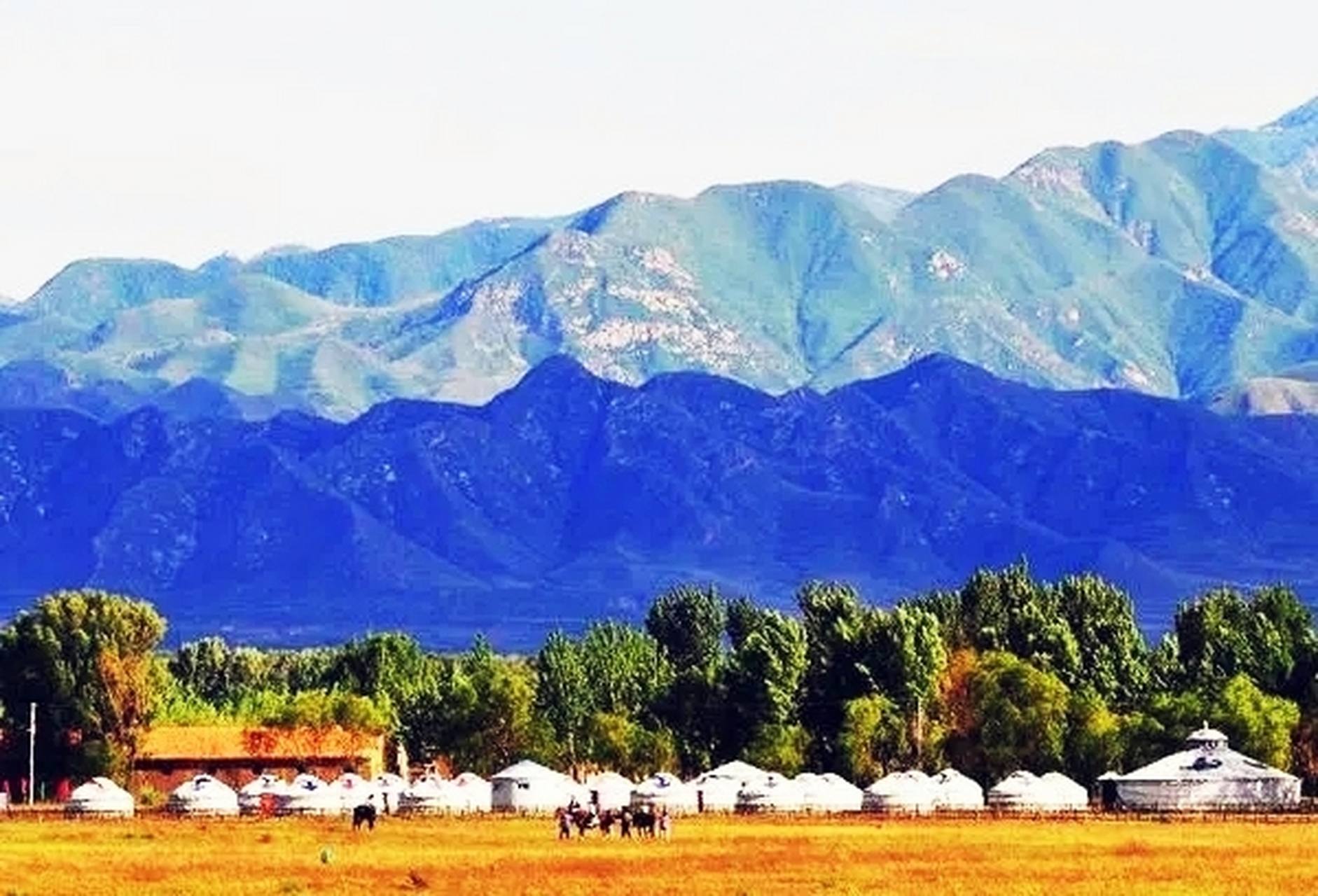 百度秋冬打卡挑战赛#北京康西草原——拥有国内最大的国营骑乘跑马场
