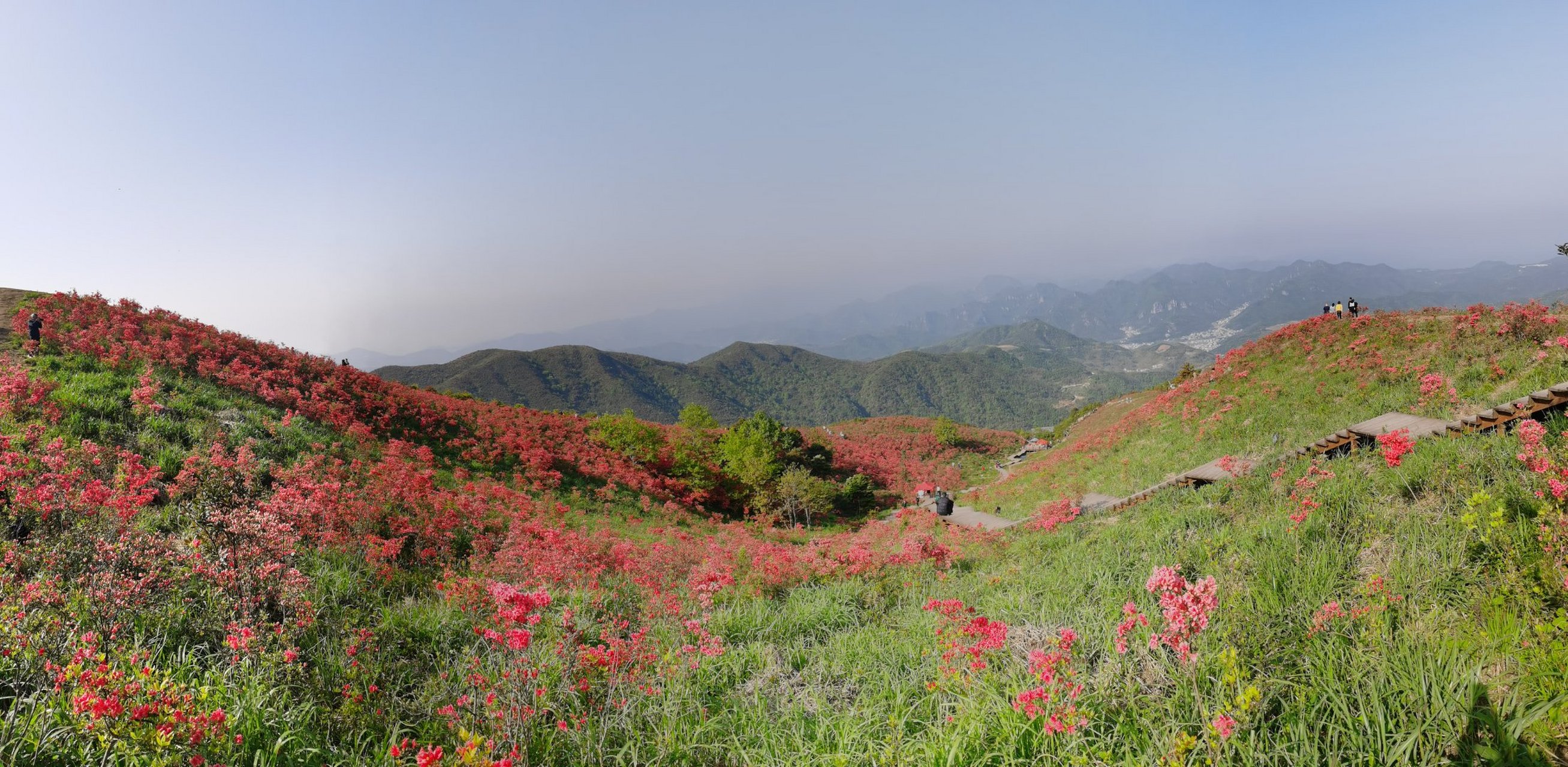 遇见好风景#黄岩太湖山尖,海拔800多米,是黄岩,温岭,乐清三地交界处.