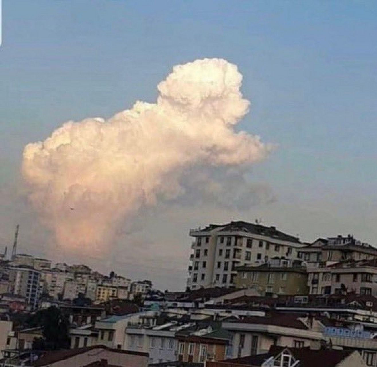 狗狗云#遇见春天的美好