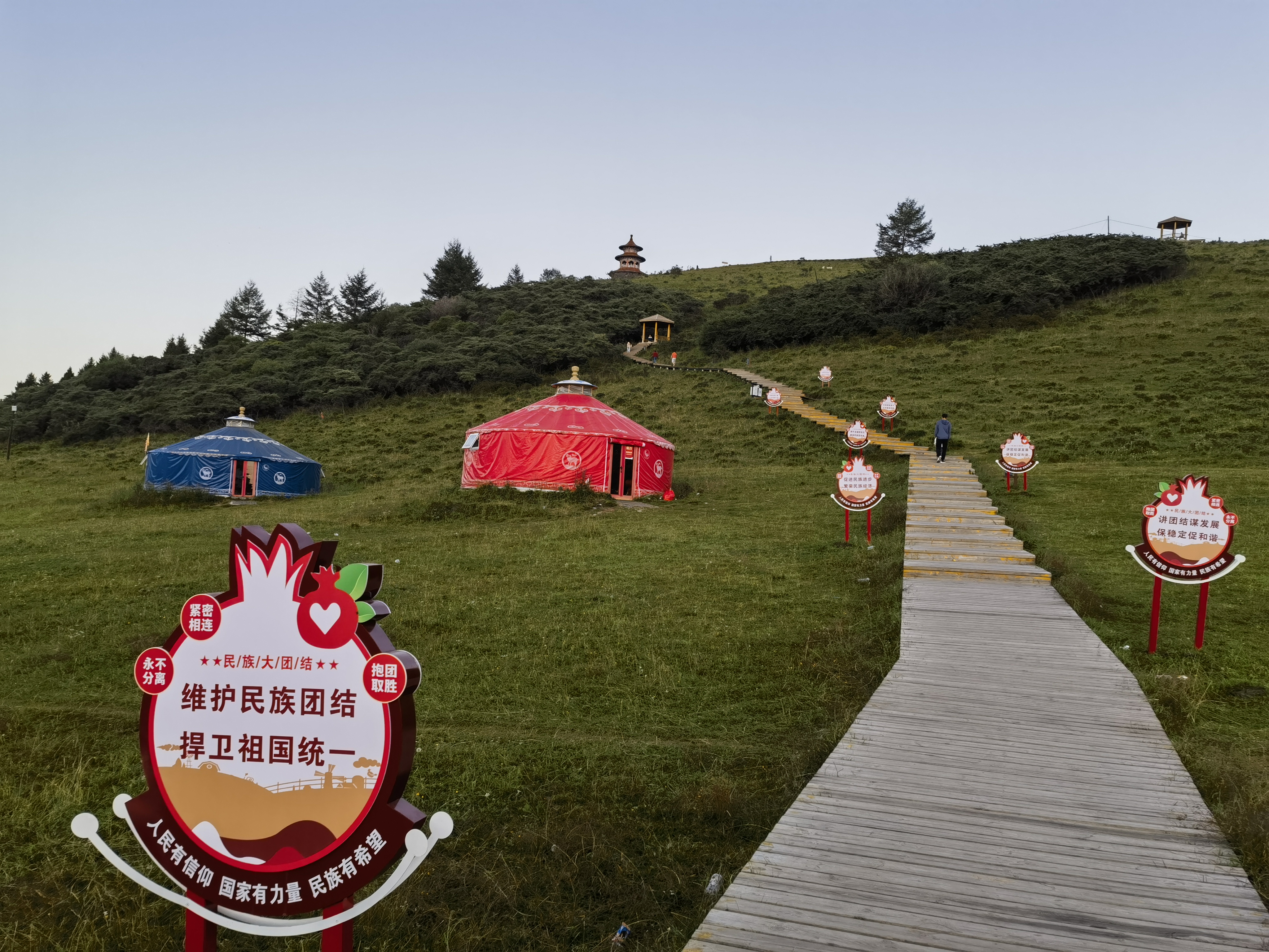 龙年8月12日甘肃省定西市岷县"狼渡滩草原"随拍精选分享
