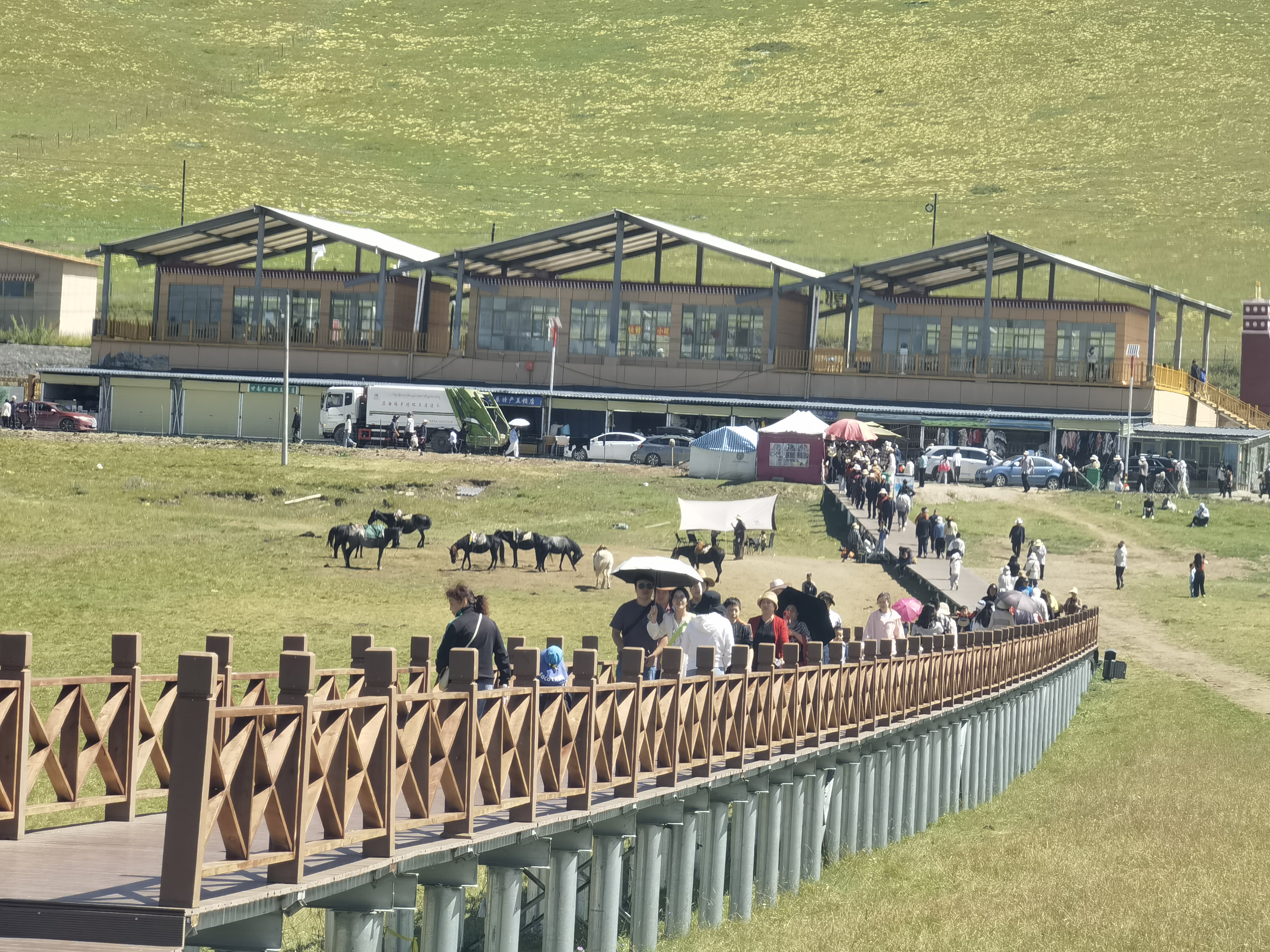 甘南碌曲县"郭莽湿地公园"观景台随拍选粹