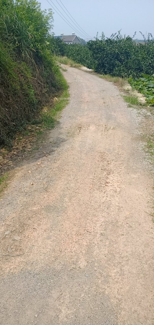 宜都,高坝洲,陈家岗八组