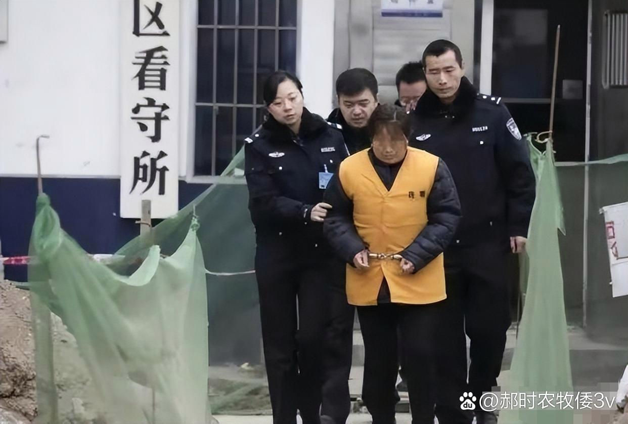 2005年,西安一名6岁女童不幸被拐卖,整整9年她隐忍