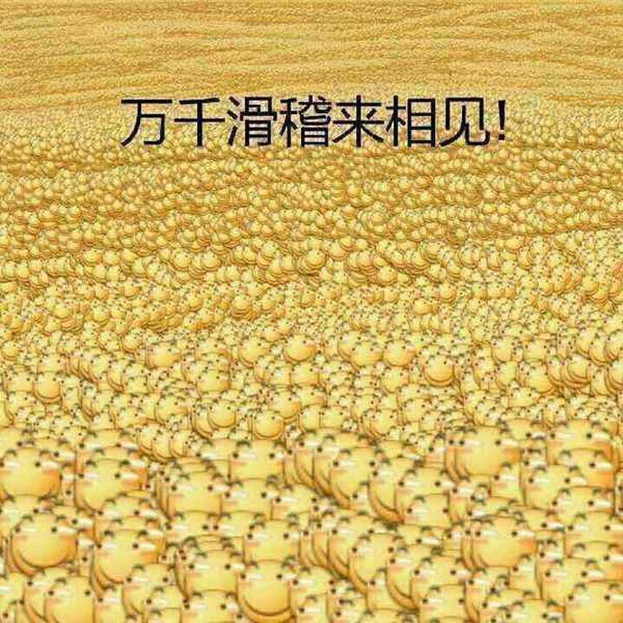 滑稽帝国万寿无疆!