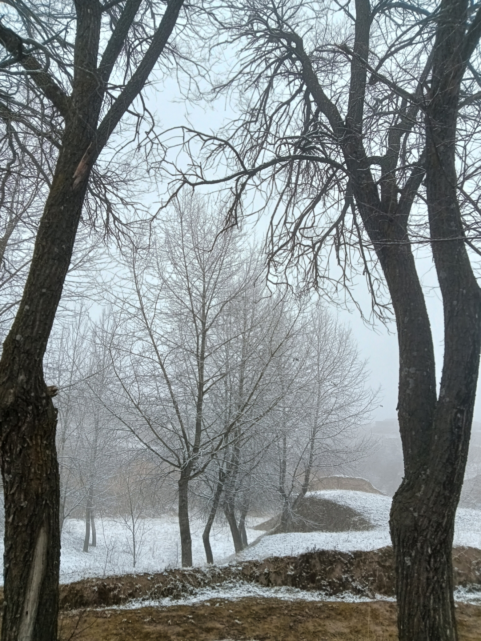 黄土高原图片 雪景图片