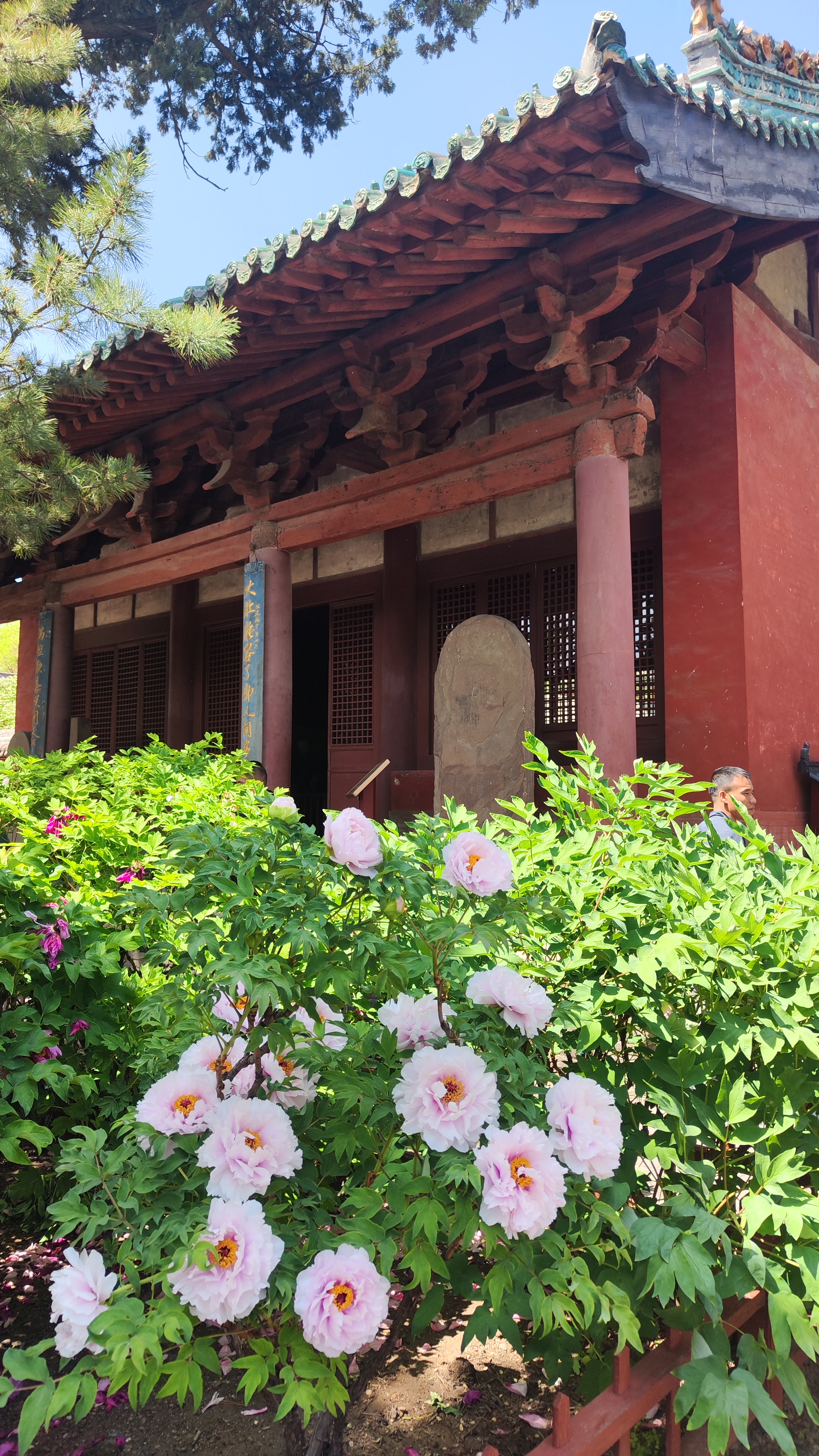 突然发现,现在的自己进入人生最好的阶段