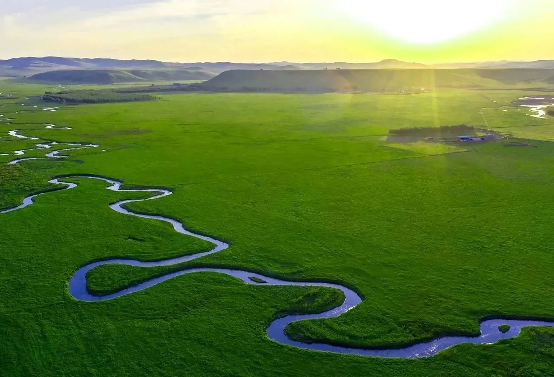 草原深处觅芳踪  近日,笔者走进兴安盟乌兰毛都杭盖草原.