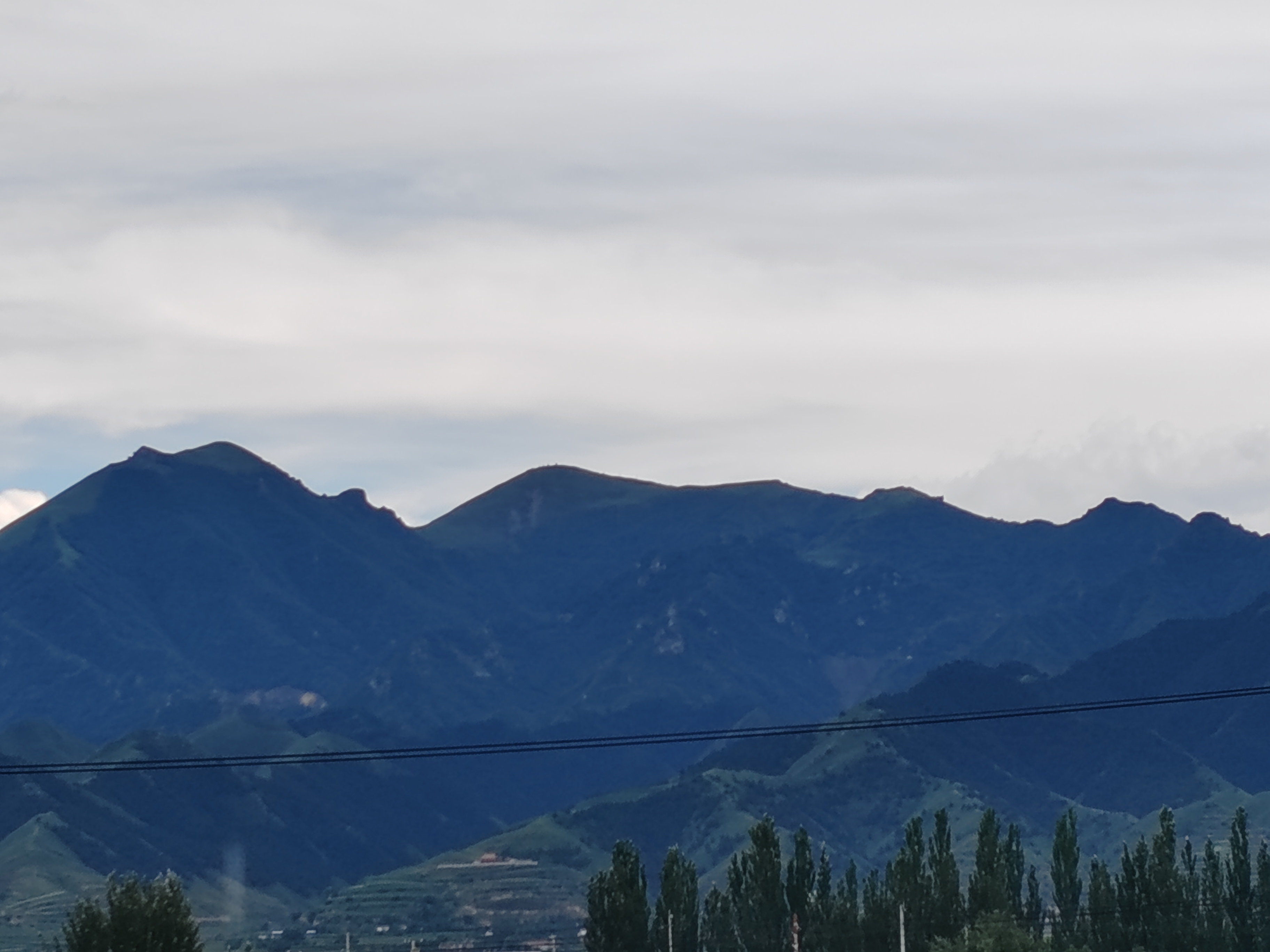 睡美人来了!雨后初晴美人依旧沉睡中!