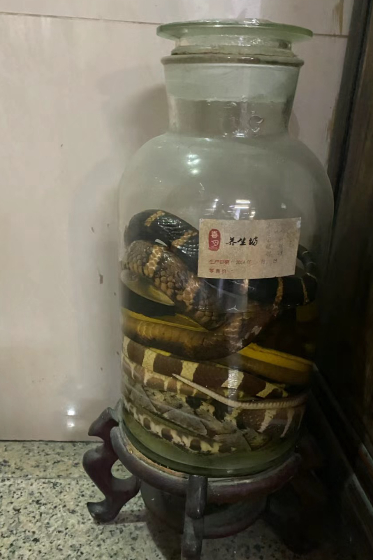 塑料蛇泡酒图片