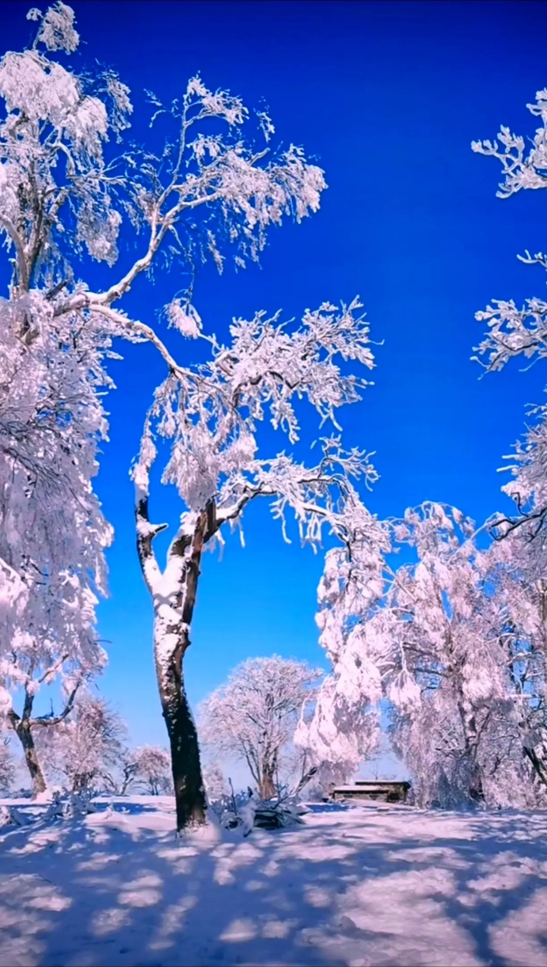 风景图片 百度网盘图片