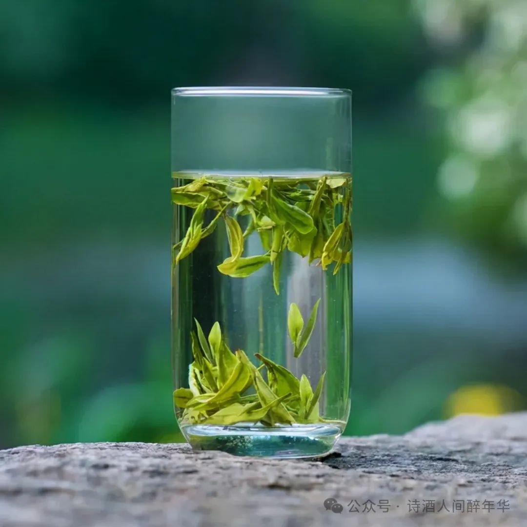 茶如女人  绿茶青碧,如幼女,一杯入喉,淡雅清冽,细腻柔弱,明亮清澈