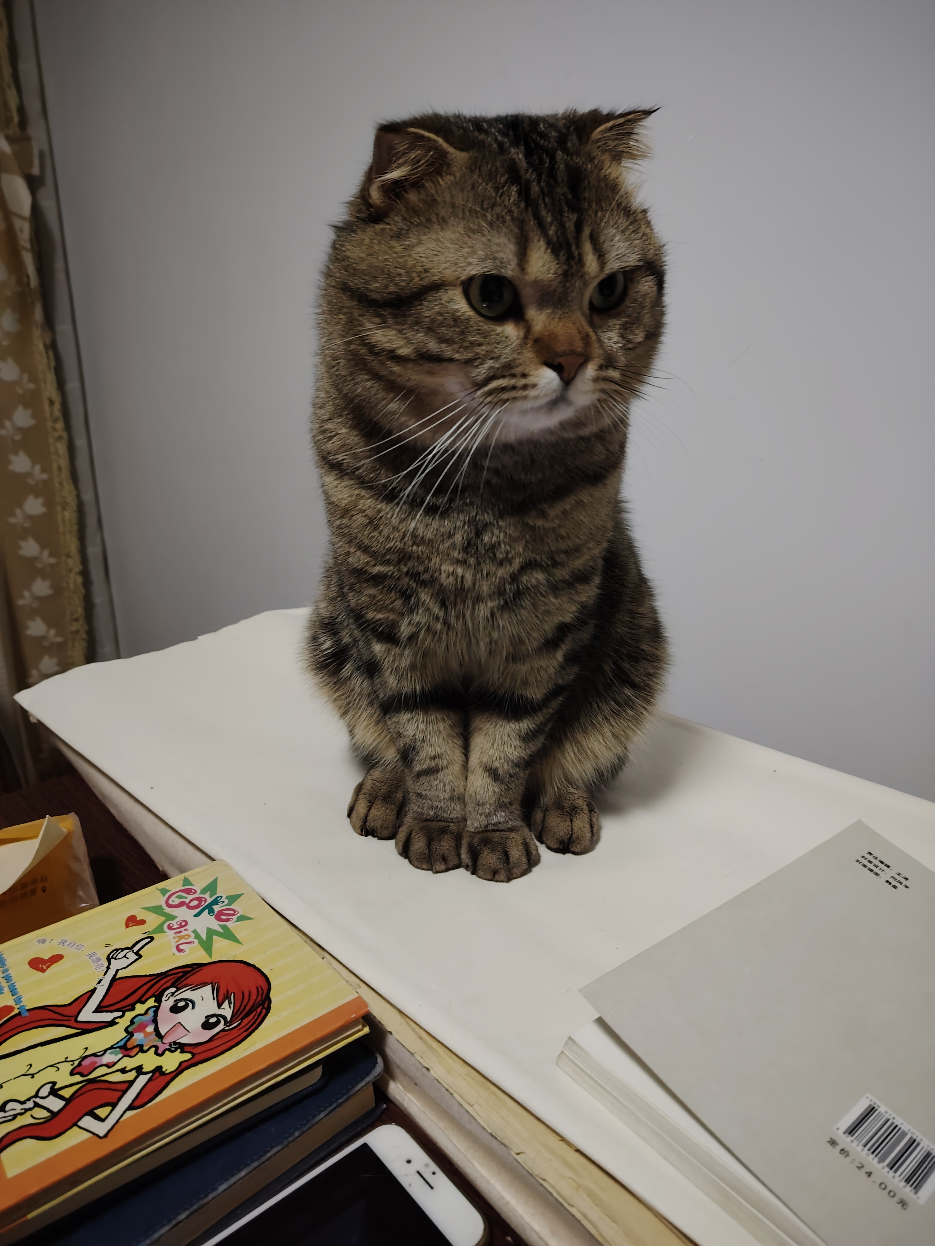 由不得真想亲亲它,搓搓它![嘻嘻][嘻嘻]#猫奴聚集地[小组]# #猫咪