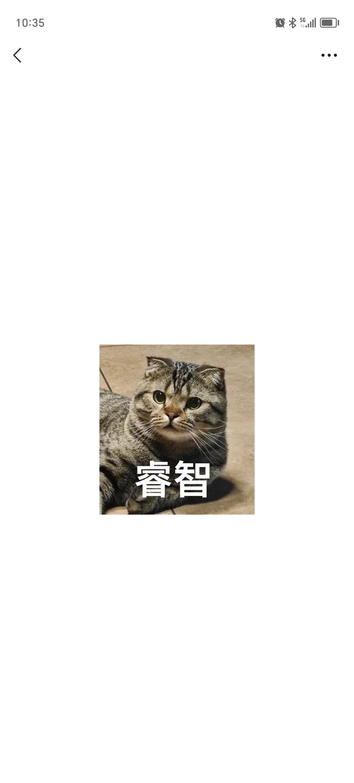 折耳猫表情包图片