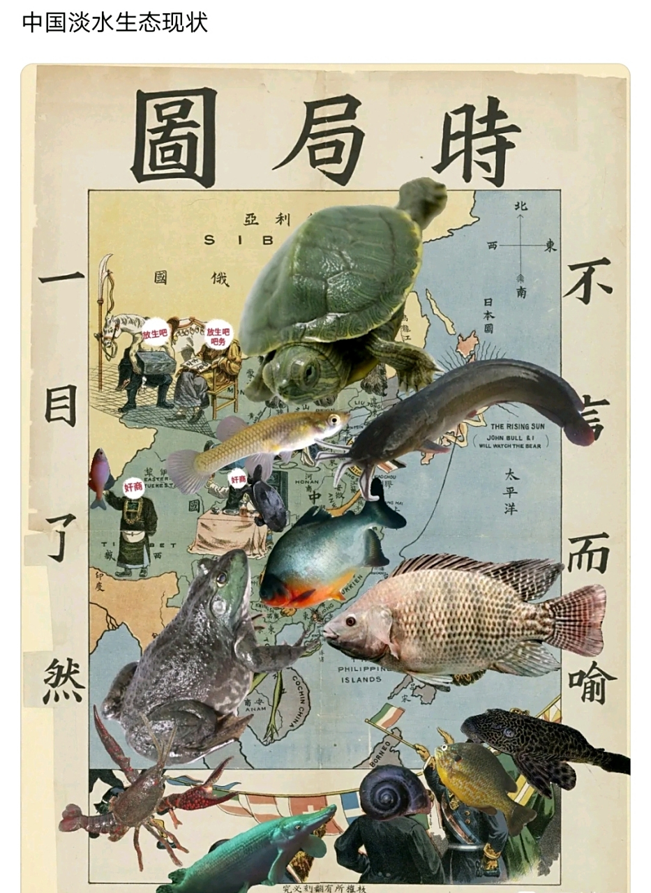 入侵物种一目了然,是哪些人在作怪,也不言而喻!