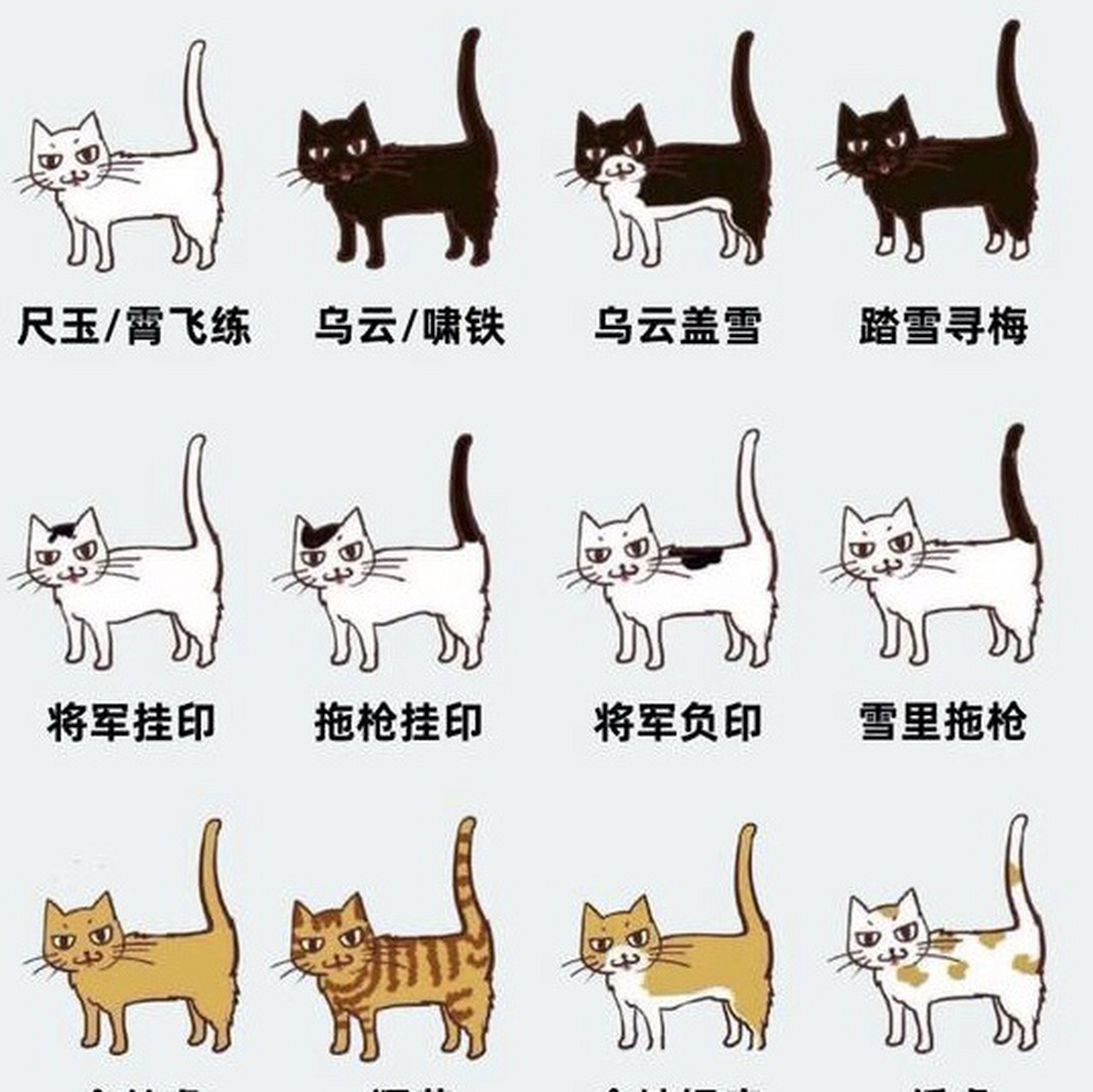 我的猫就是拖枪挂印,百分之98相似.