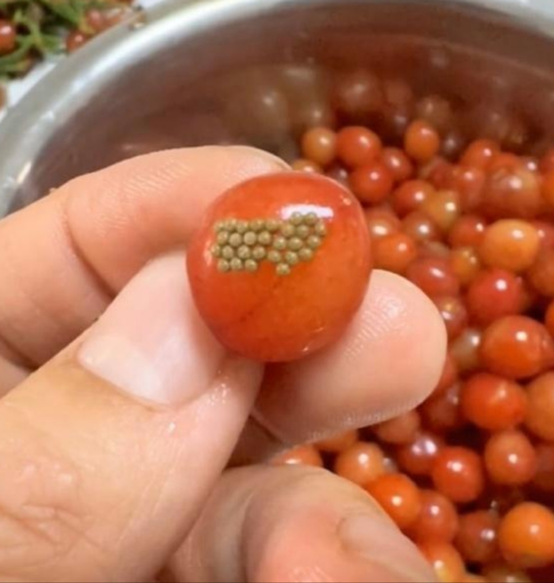 樱桃上的毛毛虫卵,真是让人咋舌!