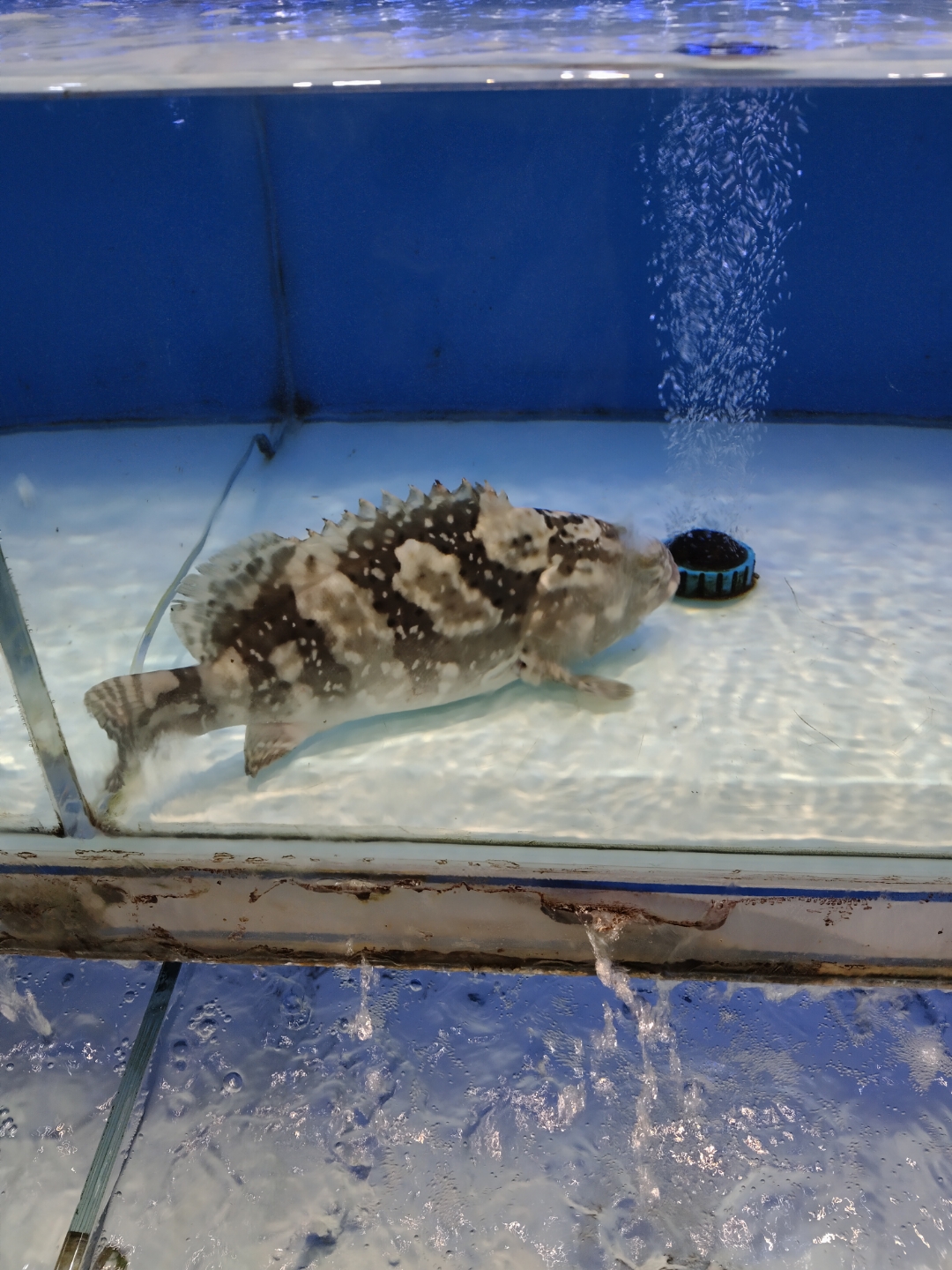 轻轻松松国庆假# 来西宁第二天,主打一个在市区